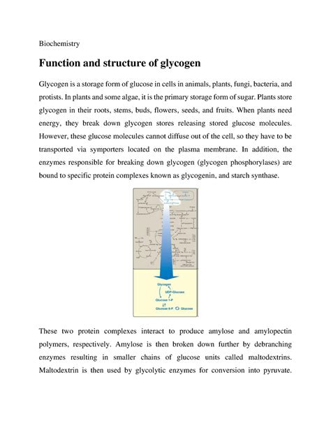 Function and structure of glycogen - Biochemistry Function and ...