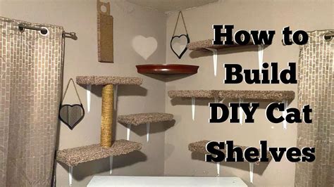 DIY Wall Mounted Cat Shelves - YouTube