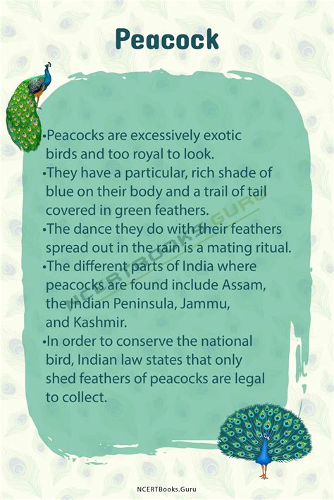 10 Lines on Peacock for Students and Children in English - NCERT Books