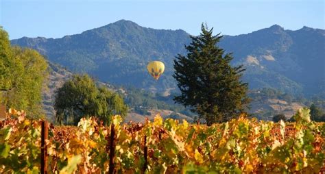 14 amazing Temecula Wineries you MUST visit if you are a Wine Lover