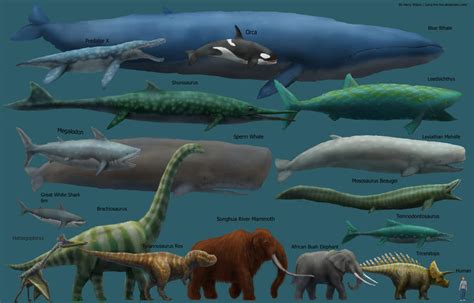 Megafauna Size Comparison Mk2 by Harry-the-Fox on DeviantArt