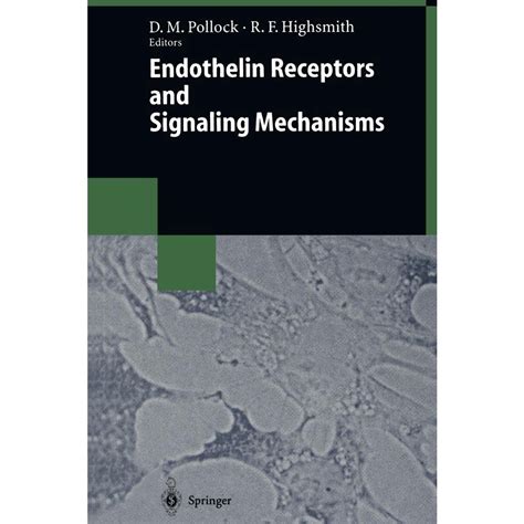 Endothelin Receptors and Signaling Mechanisms no Shoptime