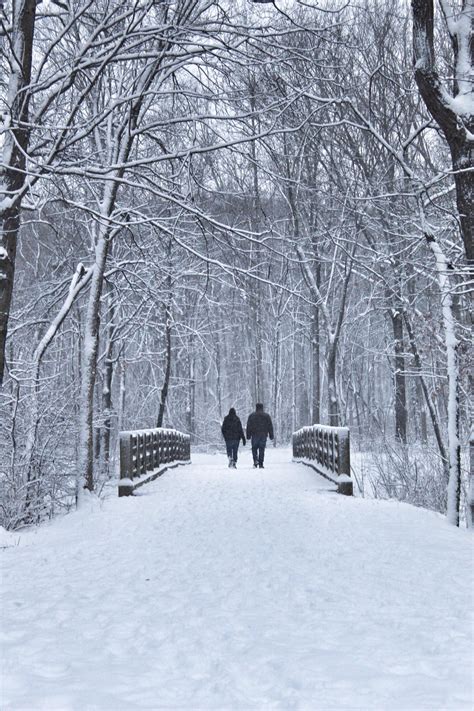 Snow day in Chicago. : r/Outdoors