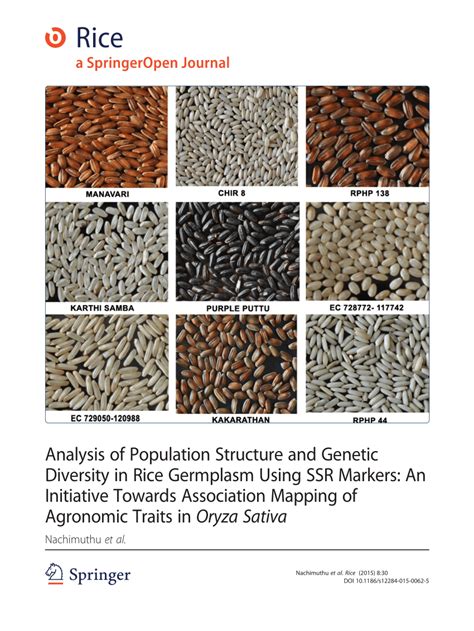 (PDF) Analysis of Population Structure and Genetic Diversity in Rice ...