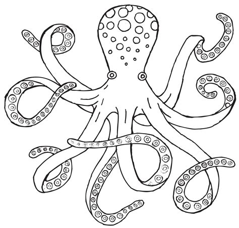 octopus | Octopus drawing, Easy octopus drawing, Octopus painting