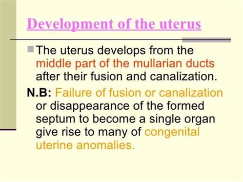 Embryology of the female reproductive system