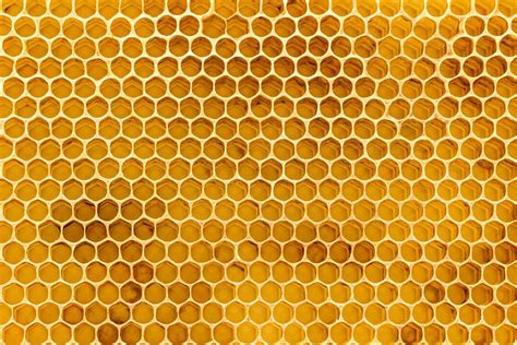 Bee Hive Wallpapers - Wallpaper Cave