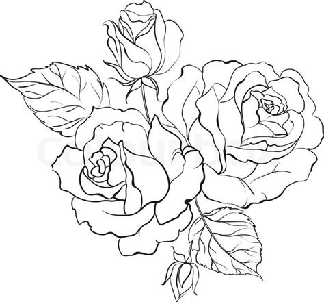 Rose Tattoos Drawing at GetDrawings | Free download