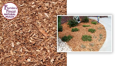 Florida’s Finest Natural Mulch ™ (70 bags) | Buy Mulch Direct