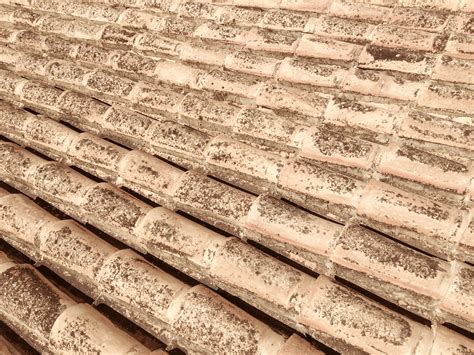 Terracotta Roof Pattern Free Stock Photo - Public Domain Pictures