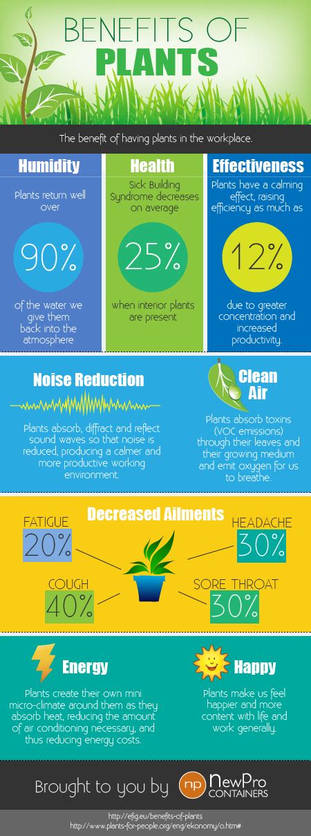 The Health and Work Benefits of Plants [Infographic] | NewPro Blog