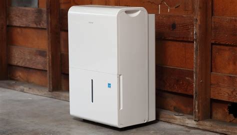 10 Best Crawl Space Dehumidifiers [2022 Updated]