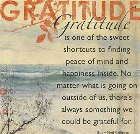 Happiness And Gratitude Quotes. QuotesGram