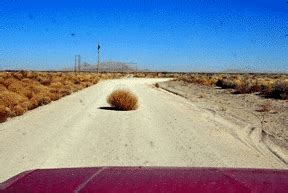 Tumbleweed Doodle Rolling GIF | GIFDB.com