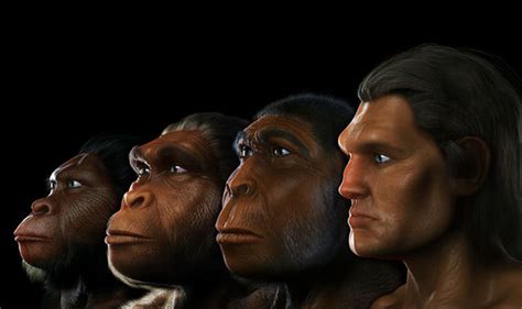 Africa was once home to many different kinds of humans, says new study ...