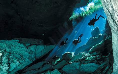 Cenote Diving: Thrilling Subterranean Delights! | MyDeepLife