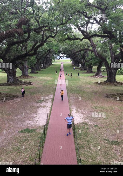 Oak Alley Plantation Stock Photo - Alamy