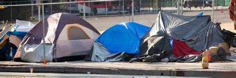 Homeless Encampment Cleanup - Who is Responsible? -Bio SoCal