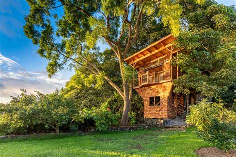 18 Magical Tree House Airbnbs You Can Stay in Around the World