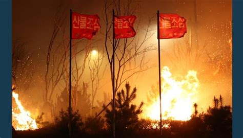 Wind-whipped wildfire prompts evacuations in South Korea border town ...