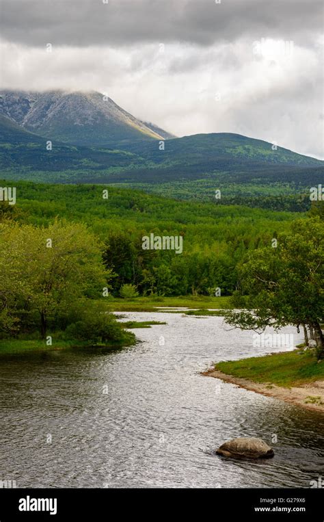 Maine North Woods Stock Photo - Alamy