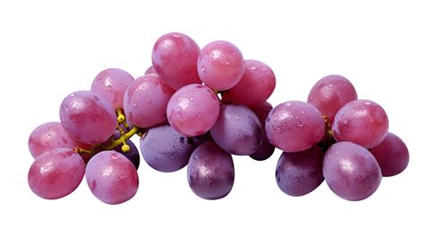 Fresh cluster of dark red grapes on transparent background 27143771 PNG