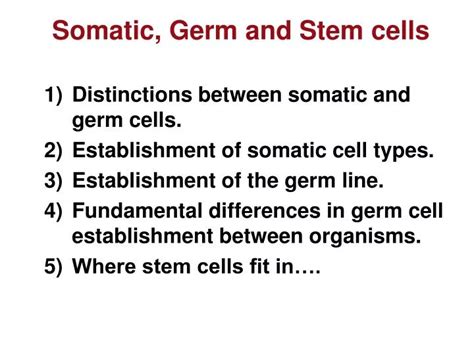 PPT - Somatic, Germ and Stem cells PowerPoint Presentation, free ...