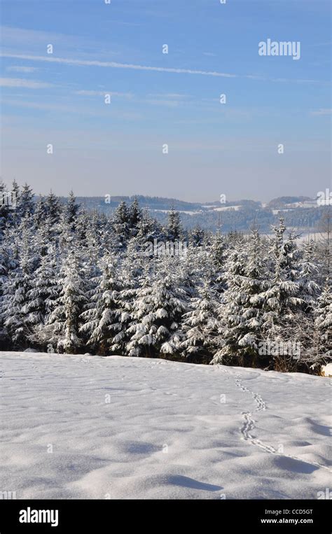 Winter landscape in Bavaria Stock Photo - Alamy