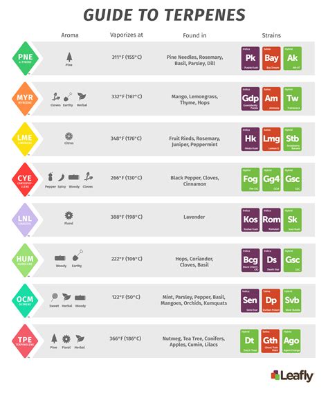 Know Your Terpenes — The Ganja Chronicles