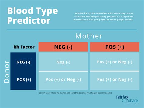 Blood Type Compatibility Predictor | Fairfax Cryobank Sperm Bank