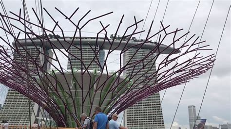 Wheelchair accessible OCBC skyway supertree grove gardens by the bay ...