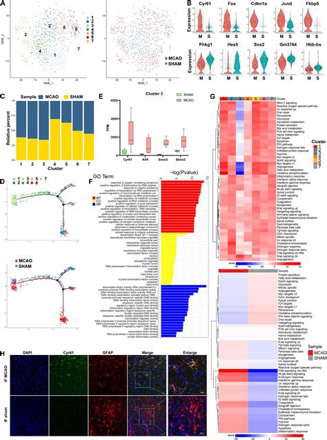 Frontiers | Single-Cell RNA Sequencing With Combined Use of Bulk RNA ...