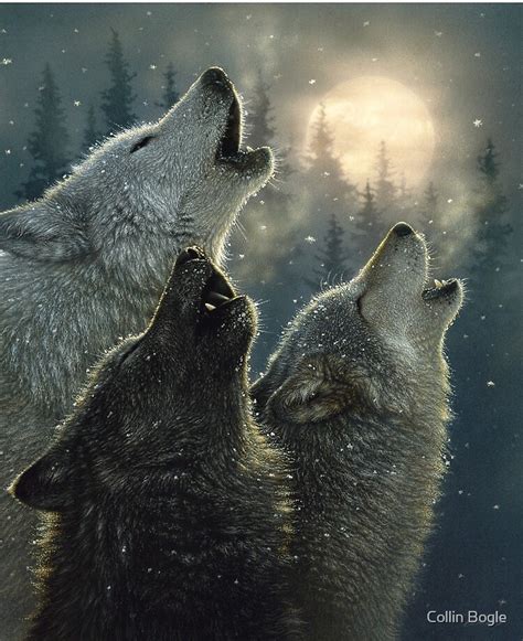 This! 28+ Facts About Wolves Howling At The Moon Pictures: Feel free to download, share, comment ...