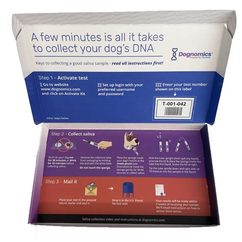 Buy Dog DNA Test Kit | Dognomics