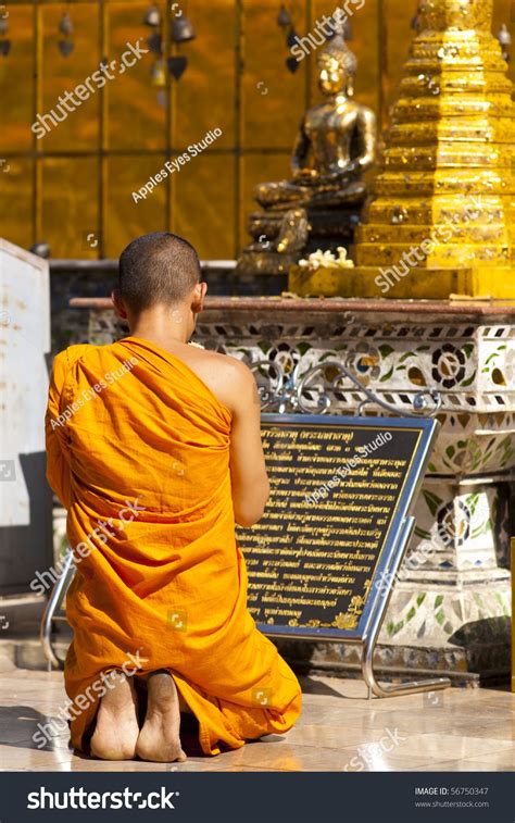 Buddhist Monk Praying Thailand Stock Photo 56750347 - Shutterstock