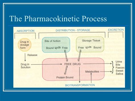 Pharmacokinetics - drug absorption, drug distribution, drug metabolis…