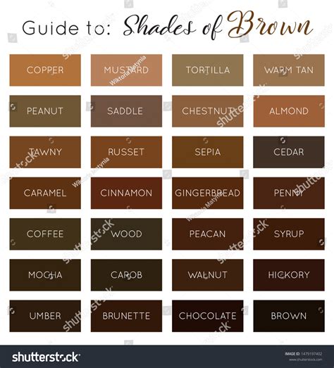 Shades Brown Vector Brown Color Palette Stock Vector (Royalty Free) 1479197402 | Shutterstock