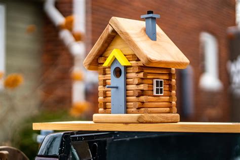 Best Birdhouse Kits for Your Backyard