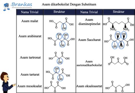 Struktur Asam Oksalat – Sinau