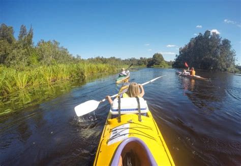 A Complete Guide To Visiting The Noosa Everglades