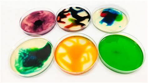 Pin by Biome360 on Petri Dish Art | Petri dish, Petri dishes, Dishes