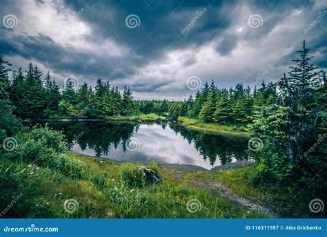 Scenery Around Mendenhall Glacier Park in Juneau Alaska Stock Image - Image of june, iceberg ...