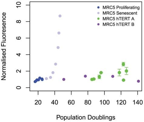 Mean MitoSOX fluorescence measured by flow cytometry at increasing PDs ...