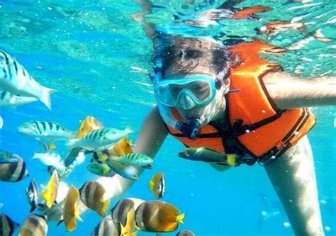 13 Amazing Cancun Snorkeling Tours ⋆ Raw Mal Roams