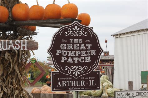 Great Pumpkin Patch 012 – Illinois Country Living Magazine