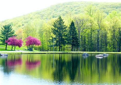 Spring at Sterling Lake | Stanley Zimny (Thank You for 52 Million views ...