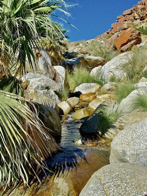 Oasis on Borrego Palm Canyon Trail in Anza-Borrego Desert State Park ...