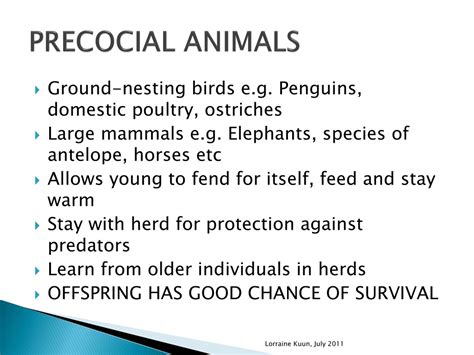 PPT - ANIMAL REPRODUCTIVE STRATEGIES PowerPoint Presentation, free ...