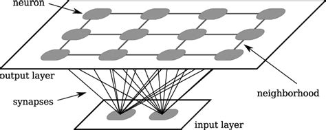 SOM neural network structure | Download Scientific Diagram