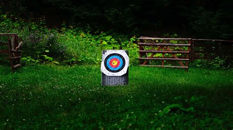 8 Best Archery Target In 2022 (Buying Guide)